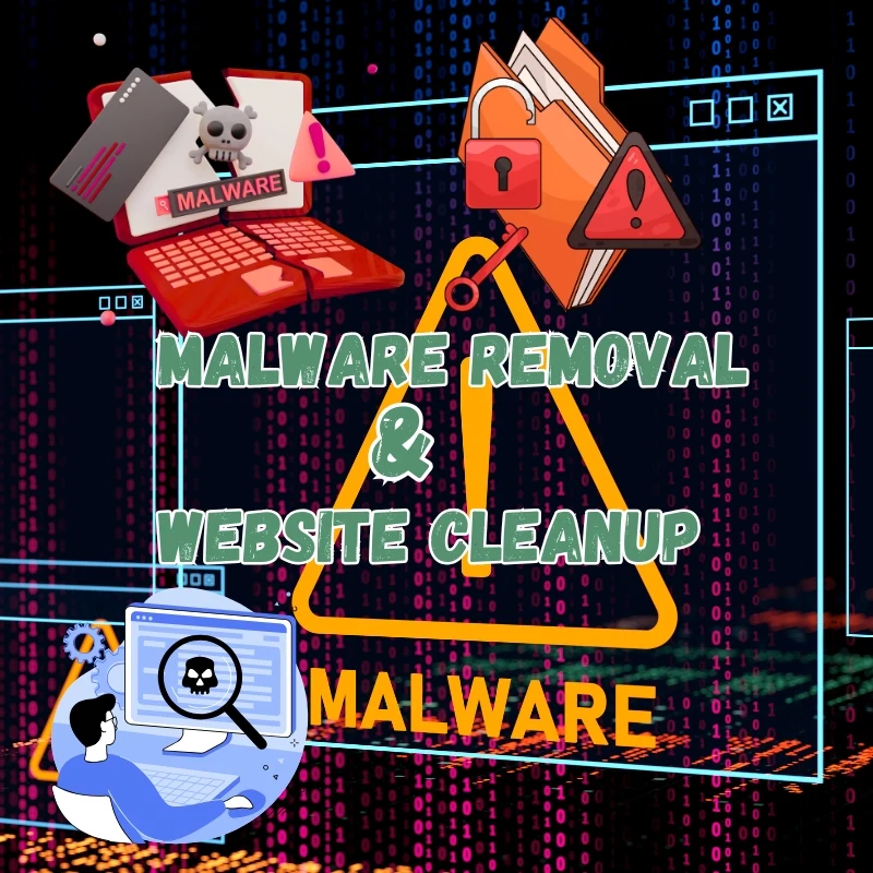 Malware Removal & Website Cleanup